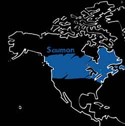 Amerique du Nord